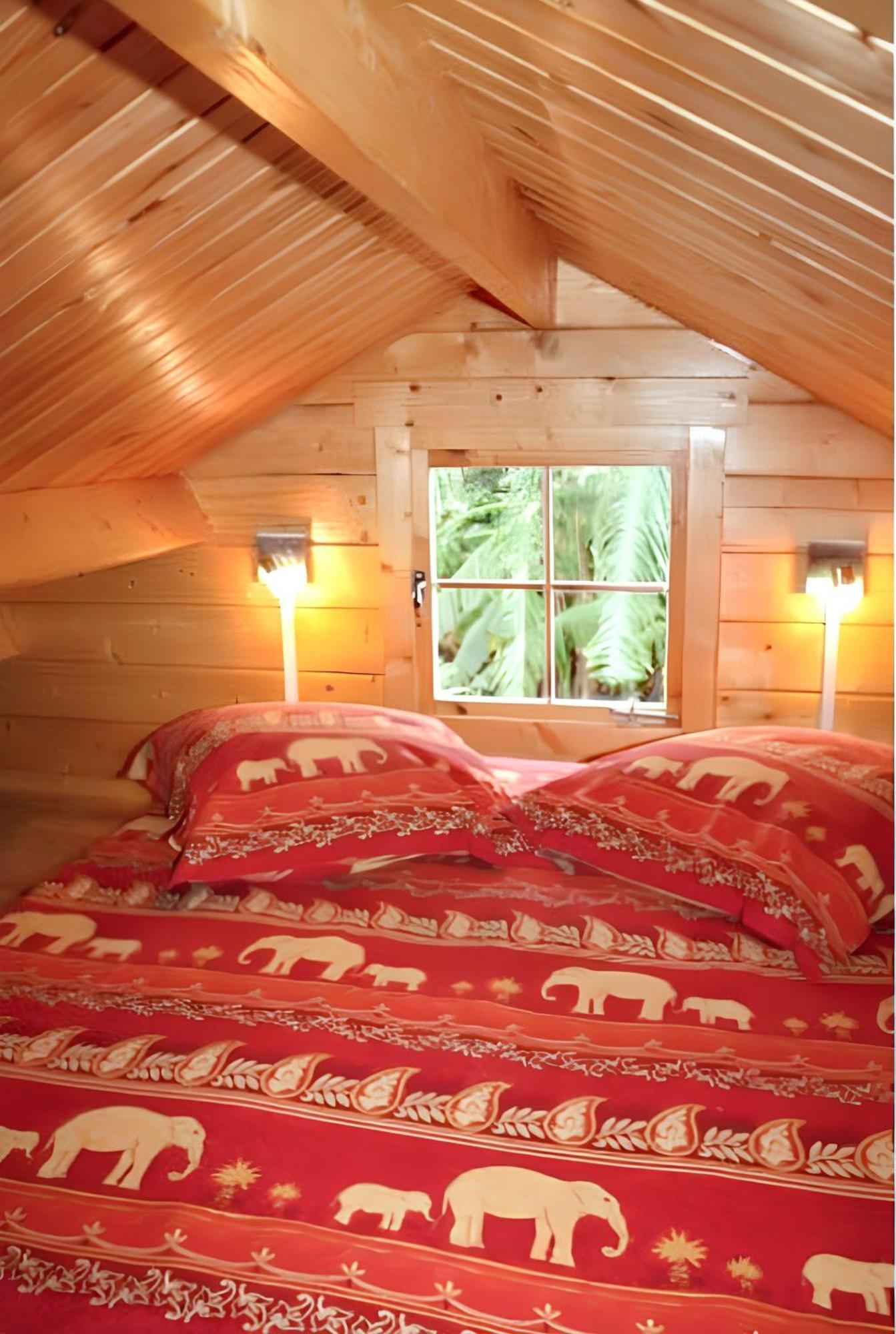 Bungalow Charmant A Saint-Joseph, Vue Sur La Piscine 外观 照片