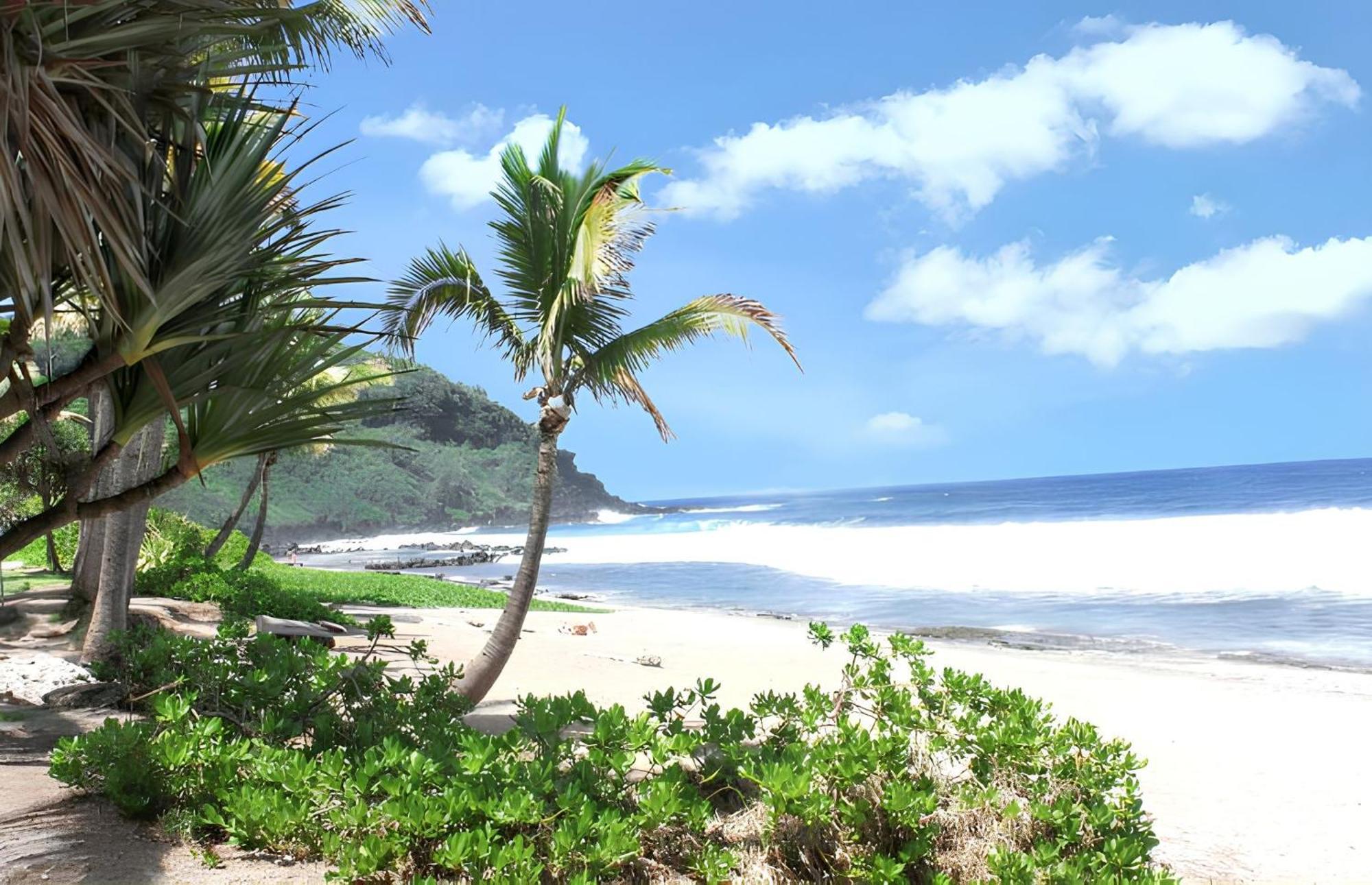 Bungalow Charmant A Saint-Joseph, Vue Sur La Piscine 外观 照片
